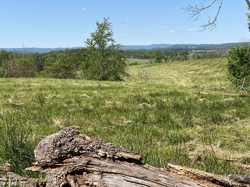 Grainger County Farm Auction : Rutledge : Grainger County : Tennessee