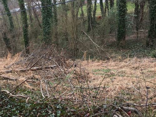 Residential Land in Wilkes County : Reddies River : Wilkes County : North Carolina