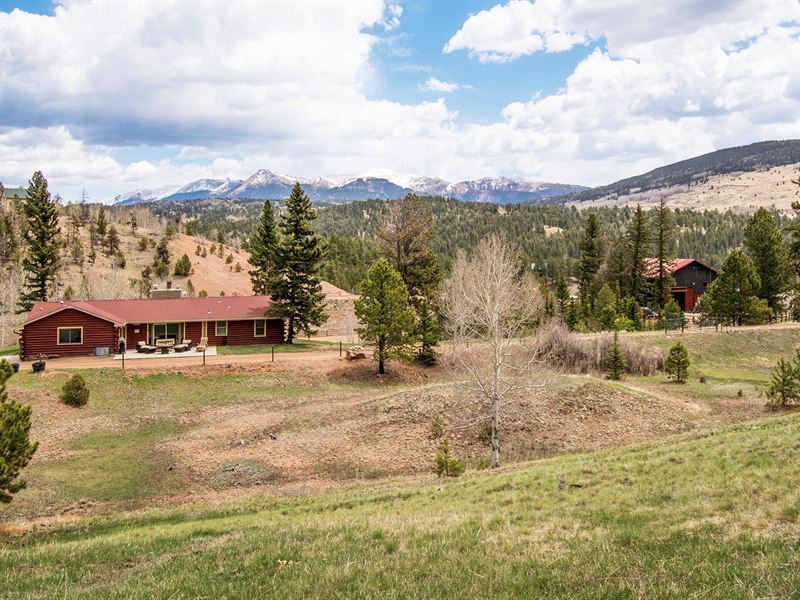 Colorado Ranch 39.3 Acres Pike Peak : Cripple Creek : Teller County : Colorado