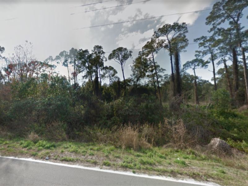 Land Sale in Putnam County, Florida : Crescent City : Putnam County : Florida
