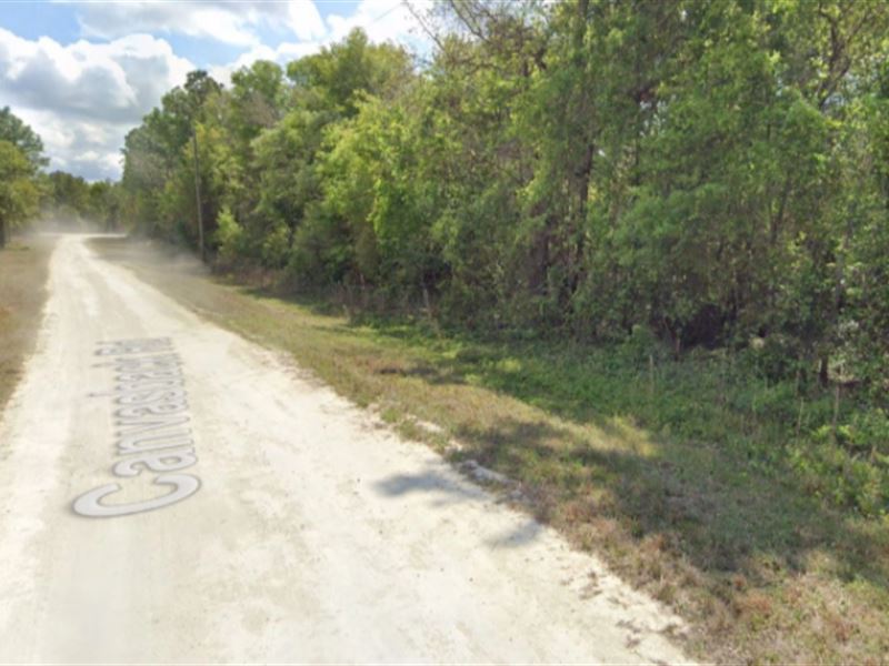 Lot for Sale in Brooksville, FL : Brooksville : Hernando County : Florida
