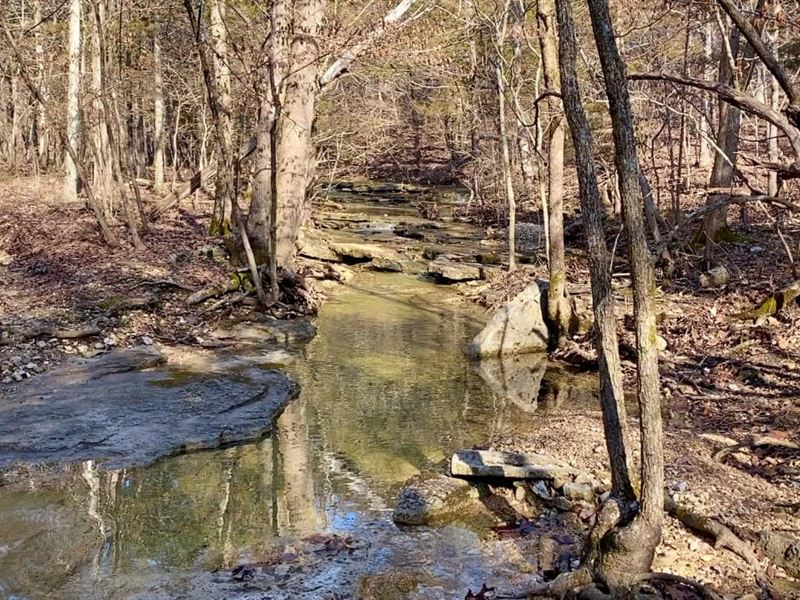 Owner Financed Acreage in The Ozark : Ava : Douglas County : Missouri