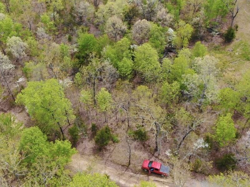 $1500 Down On Hunting Tract : Rolla : Pulaski County : Missouri