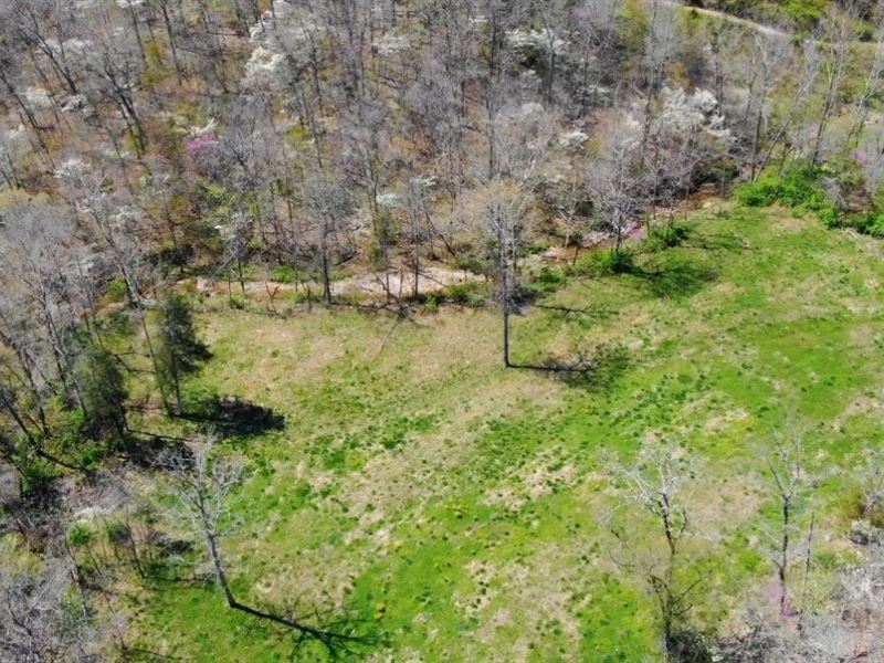 41 Acres Of Hunting Land : Rolla : Pulaski County : Missouri