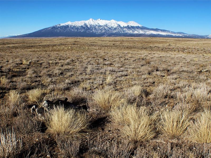 5 Acre Land for Sale at Low Price : Blanca : Costilla County : Colorado