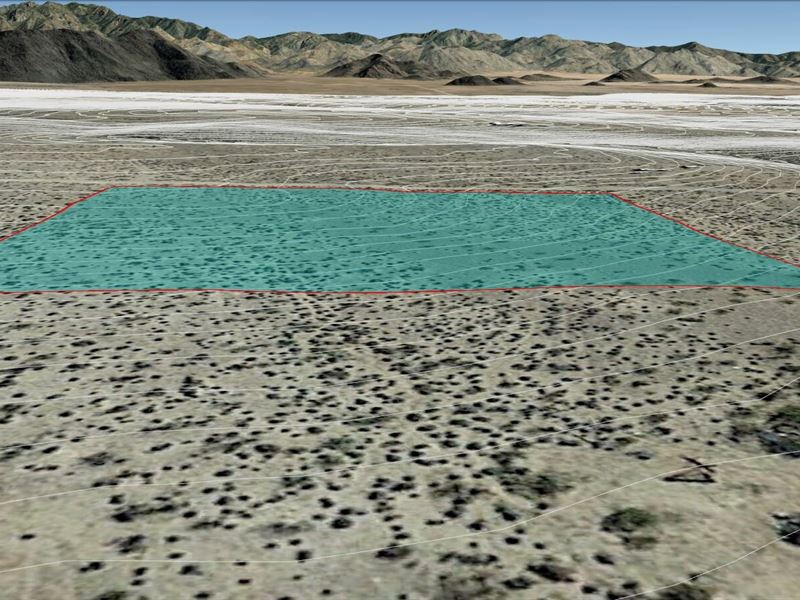 Exquisite Desert Location : Yucca : Mohave County : Arizona