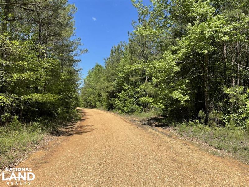 Blowhorn Creek Hunting Tract : Fayette : Lamar County : Alabama