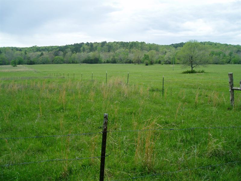 If You Are Looking Place to Build : Lowndes : Wayne County : Missouri