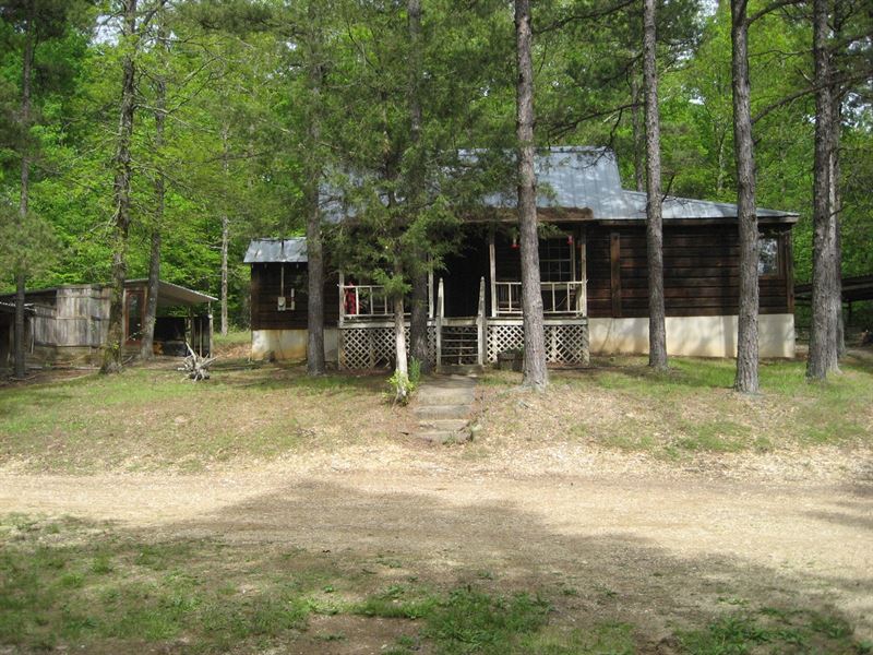 Cabin in The Woods Of TN Private : Savannah : Hardin County : Tennessee
