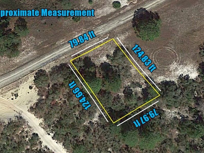 .23 Acre Lot Affordable Lot : Lake Placid : Highlands County : Florida