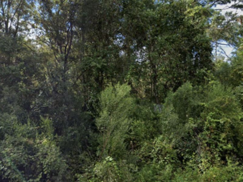 Property for Sale in Pasco County : New Port Richey : Pasco County : Florida