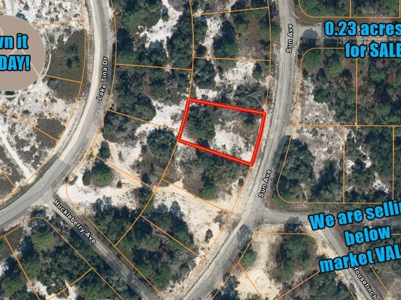 .22 Acres Lot Amazing Property Land for Sale by Owner in Lake Placid