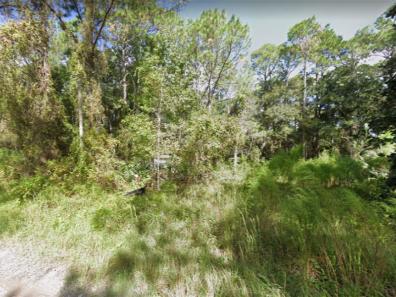 Property for Sale in Pasco County : New Port Richey : Pasco County : Florida
