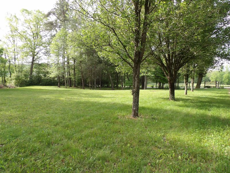 Spring, Septic, Public Water : Spencer : Van Buren County : Tennessee