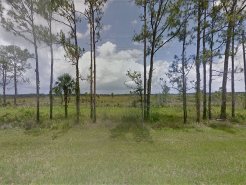 Polk County Lot for Sale in FL : Indian Lake Estates : Polk County : Florida