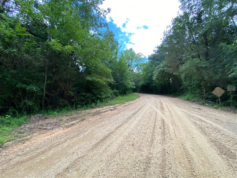 39 Acres In Amite County, MS Land for Sale in Gloster, Amite County