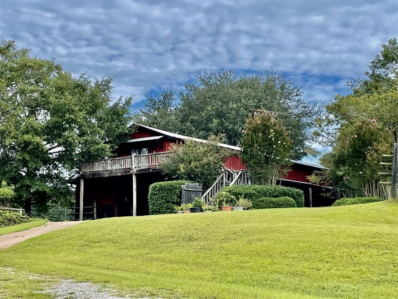 Scenic Equestrian Facility : Milldgeville : Baldwin County : Georgia