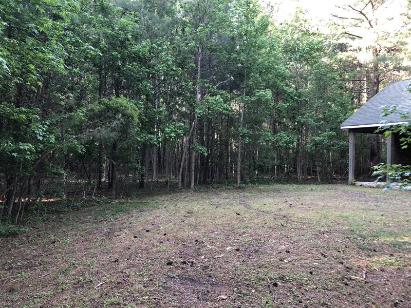 Land, Cabin in Hyde County, NC : Belhaven : Hyde County : North Carolina