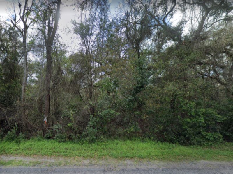 Lot for Sale in Clay County, FL : Keystone Heights : Clay County : Florida