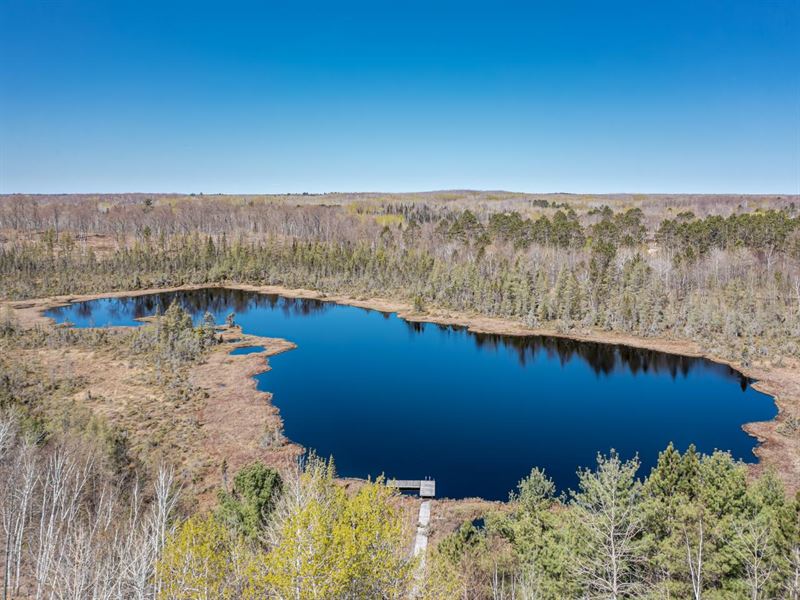 Bearskin Creek Legacy Property Land for Sale in Cassian, Oneida