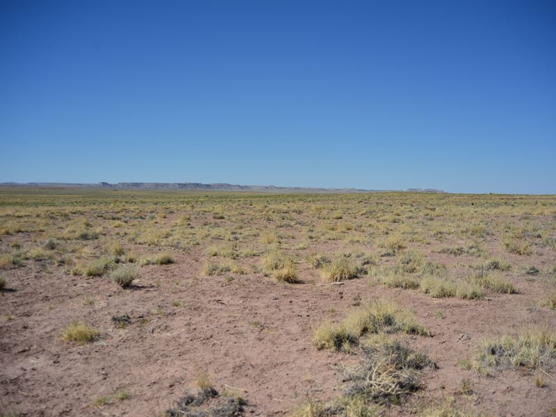 Steal This 1 Acre AZ Lot : Adamana : Apache County : Arizona