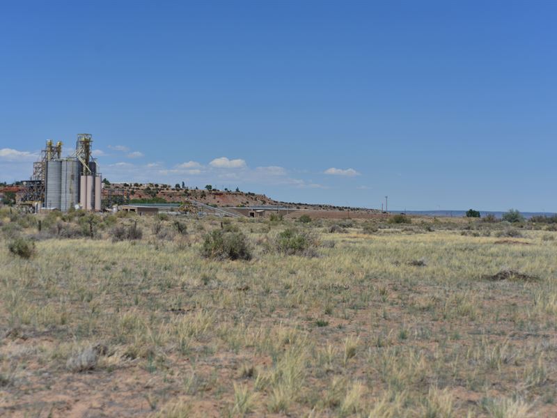 RV Friendly 1 Acre Lot in AZ : Sanders : Apache County : Arizona