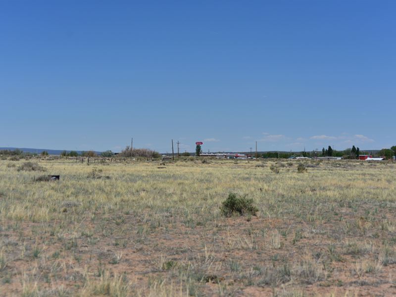 1 Acre Land, Easy Owner Financing Land for Sale by Owner in Sanders