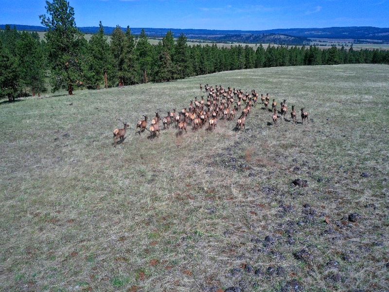 Fly Creek Retreat : La Grande : Union County : Oregon