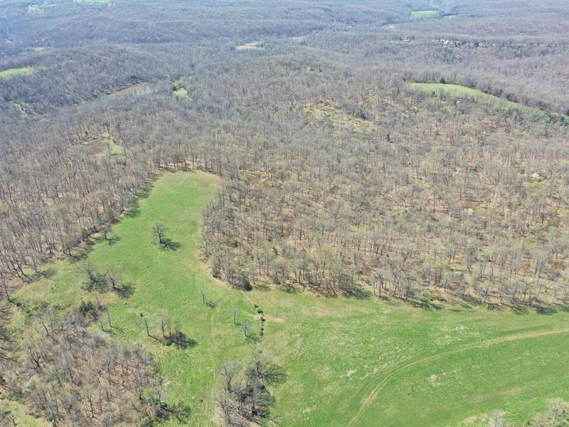 401 Acre Pasture Hunting Farm : Stover : Morgan County : Missouri