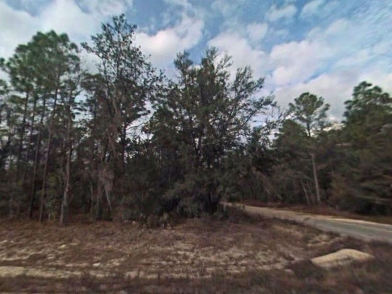 .34 Acre Land in Florahome, FL : Florahome : Putnam County : Florida