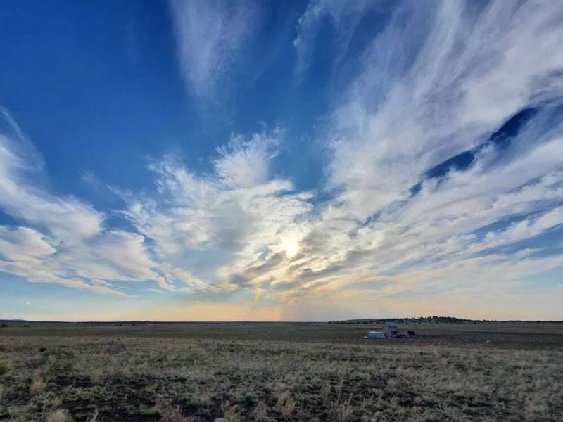 Your Own Piece of Paradise : Concho : Apache County : Arizona