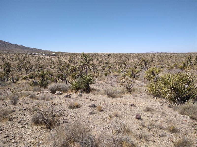 1.07 Acres, Power Poles, RV Living : Dolan Springs : Mohave County : Arizona