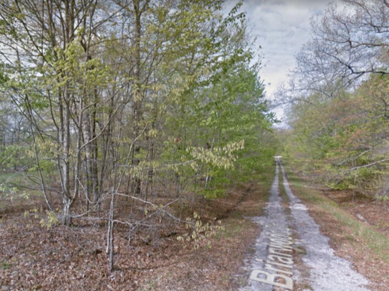 Land Sale in Cumberland County, TN : Crossville : Cumberland County : Tennessee