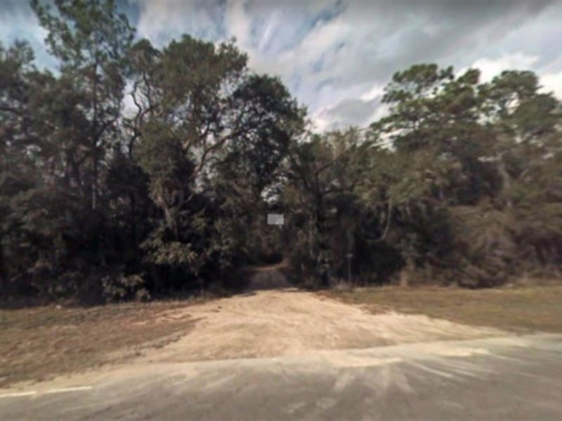 Lot for Sale in Clay County, FL : Keystone Heights : Clay County : Florida