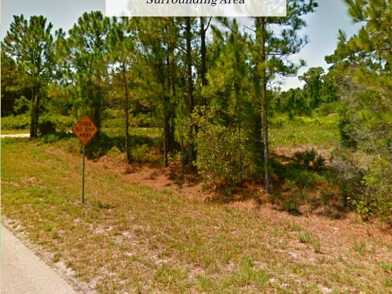 .33 Acre Only $1 Down, $199/Mo : Lake Placid : Highlands County : Florida
