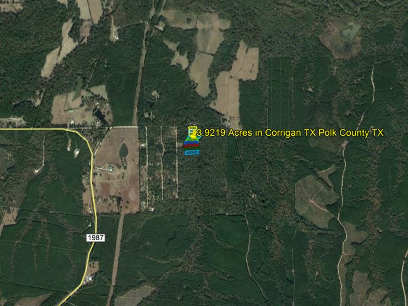 3.9219 Acres in Corrigan, TX Land for Sale by Owner in Corrigan, Polk