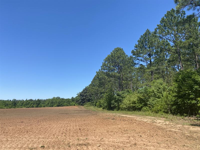 Rare Rural Terrell County Tract Land for Sale in Dawson, Terrell