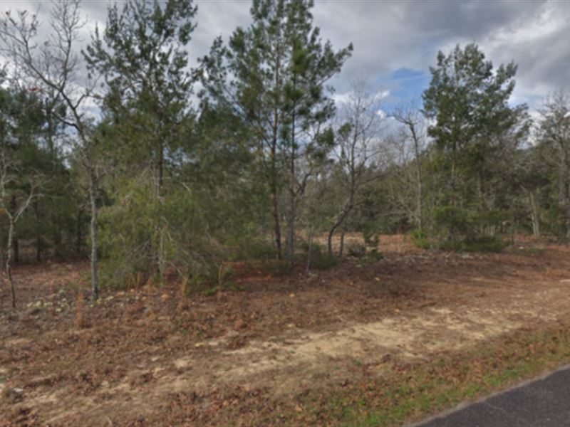 Lot for Sale in Clay County, FL : Keystone Heights : Clay County : Florida