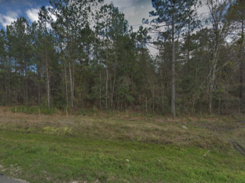 2 Parcels Clay County Lots for Sale : Keystone Heights : Clay County : Florida