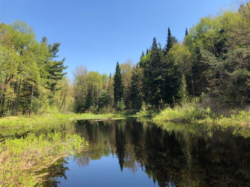 On First Creek Pond : Croghan : Lewis County : New York