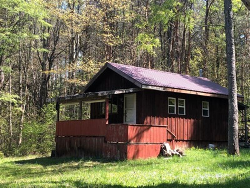 Camp First Creek : Croghan : Lewis County : New York