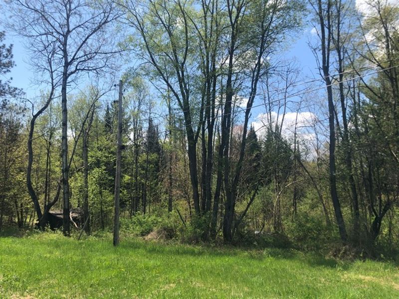 Building Site, Western Adirondacks : Croghan : Lewis County : New York