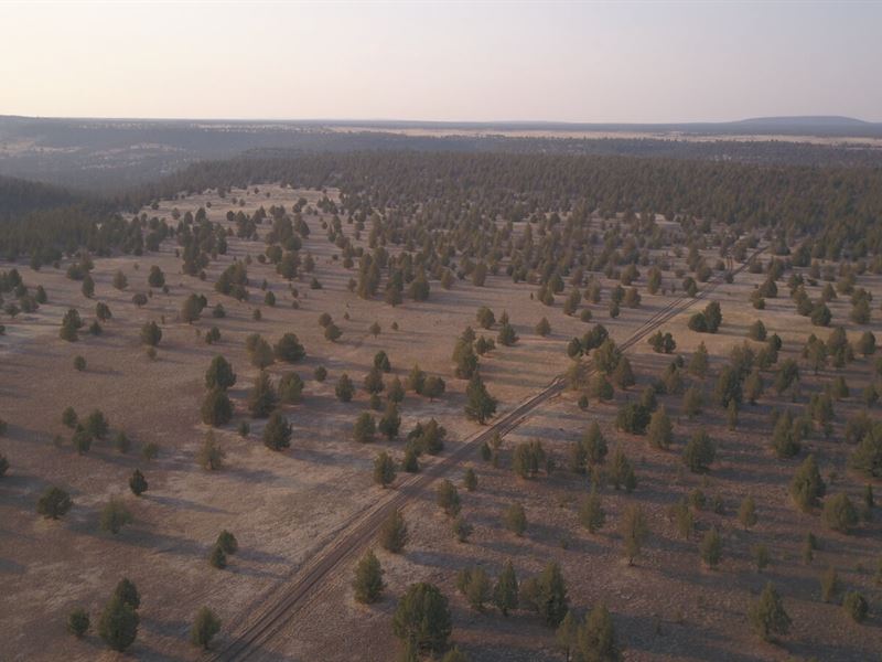 A Practical Future Investment : Alturas : Modoc County : California