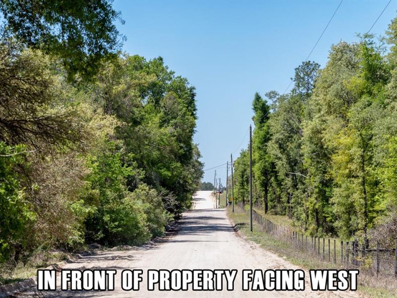 $3,900 Down, Owner Fi, Mobiles OK : Williston : Levy County : Florida