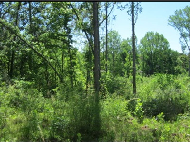 3.93 Acres in Marshall County Lot : Holly Springs : Marshall County : Mississippi