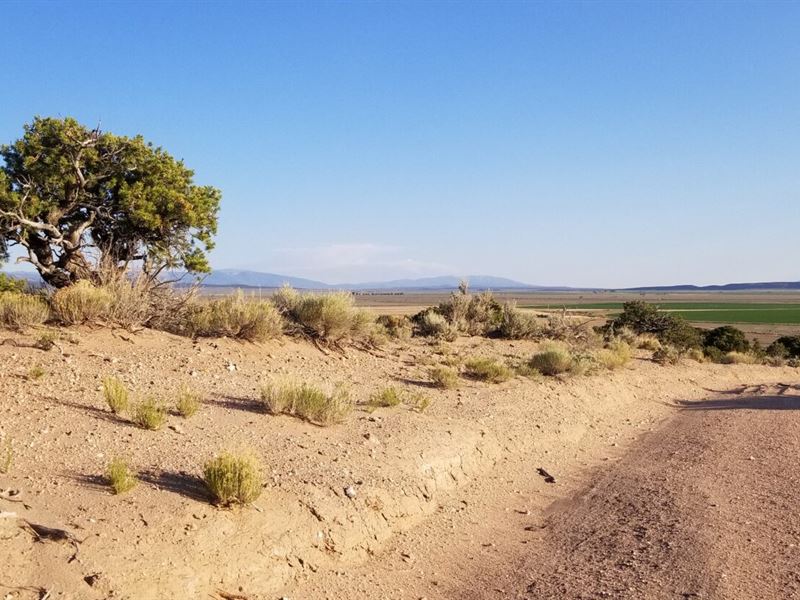Enjoy Wildlife, Hiking, & More : Fort Garland : Costilla County : Colorado