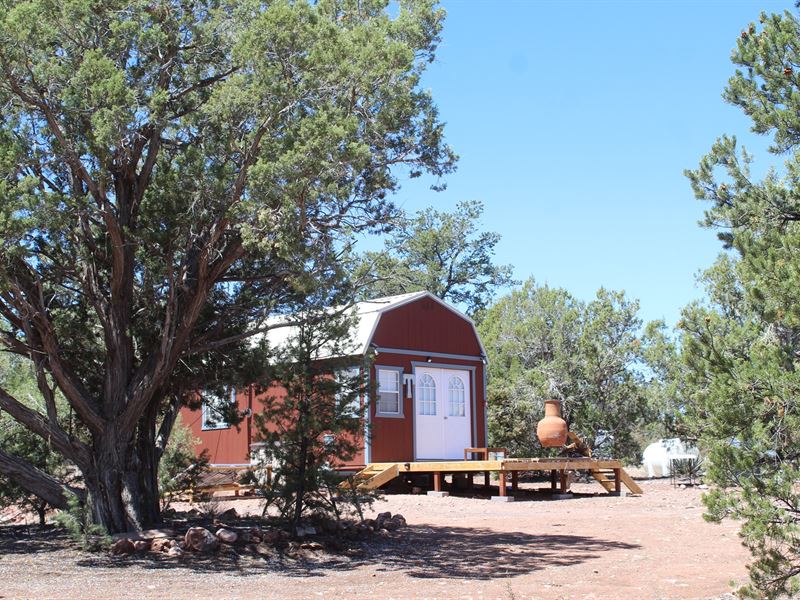 Fenced Land Shed/Cabins Horse : Seligman : Yavapai County : Arizona