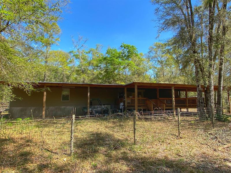 Rare Find, Tiger Island Subdivision : Cedar Key : Levy County : Florida