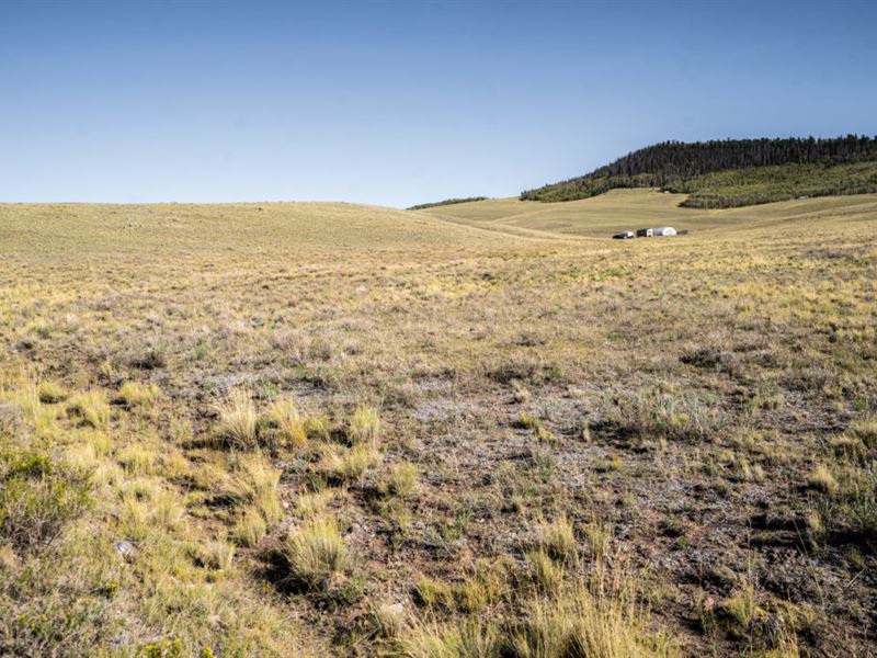 Own 5 Acres in South Park Ranches : Hartsel : Park County : Colorado