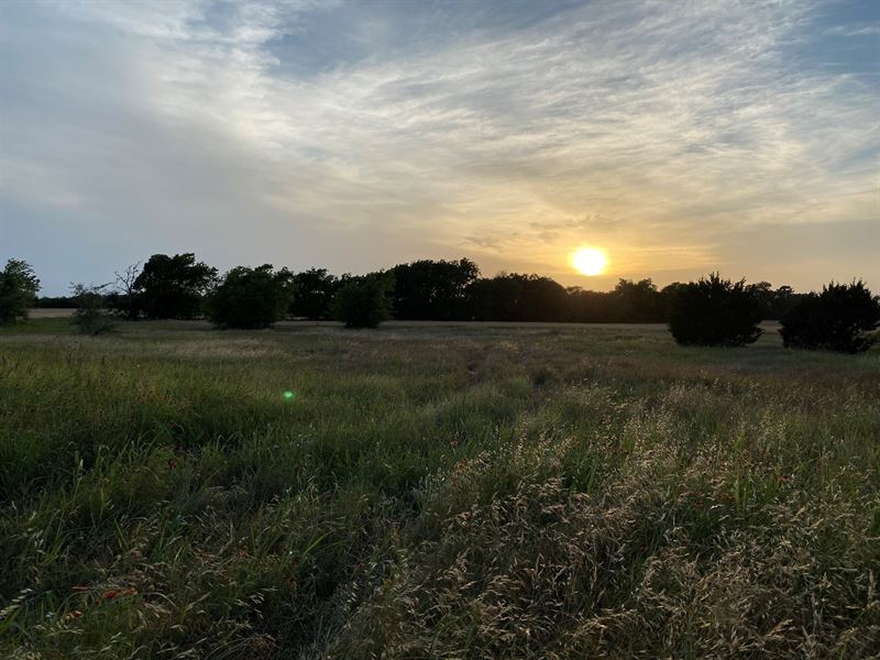 Land for Sale Central Texas : Valley Mills : Coryell County : Texas